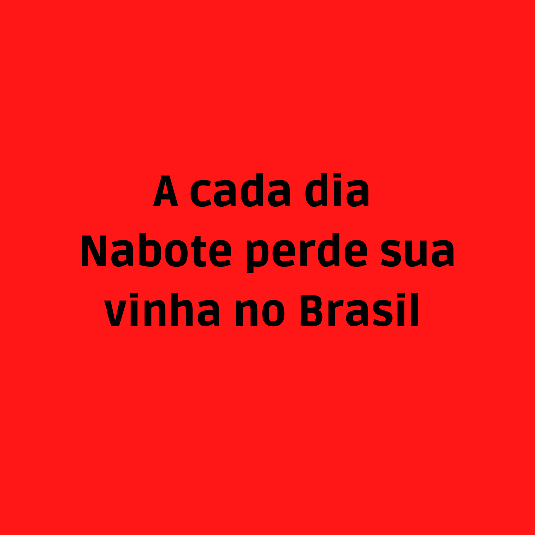 A cada dia Nabote perde sua vinha no Brasil