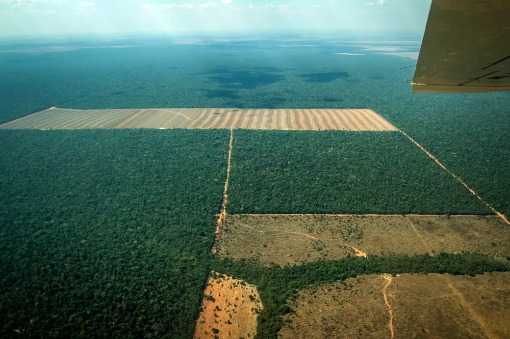 33% de todo desmatamento da vegetação nativa no Brasil ocorreu nos últimos 37 anos, aponta levantamento