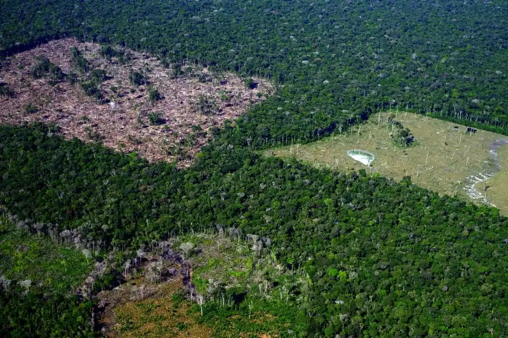 Brasil é país mais letal da década para defensores da terra e do ambiente, segundo levantamento