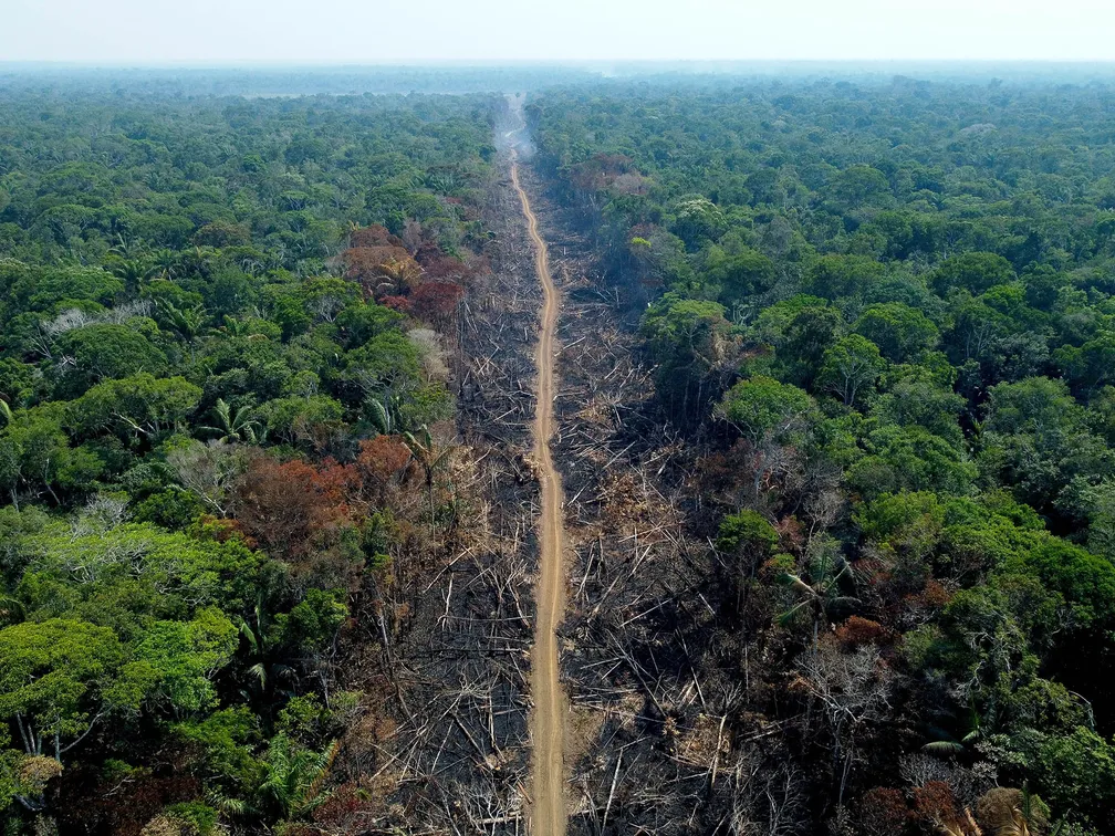 Alertas de desmate na Amazônia têm pior setembro da série histórica, aponta Inpe