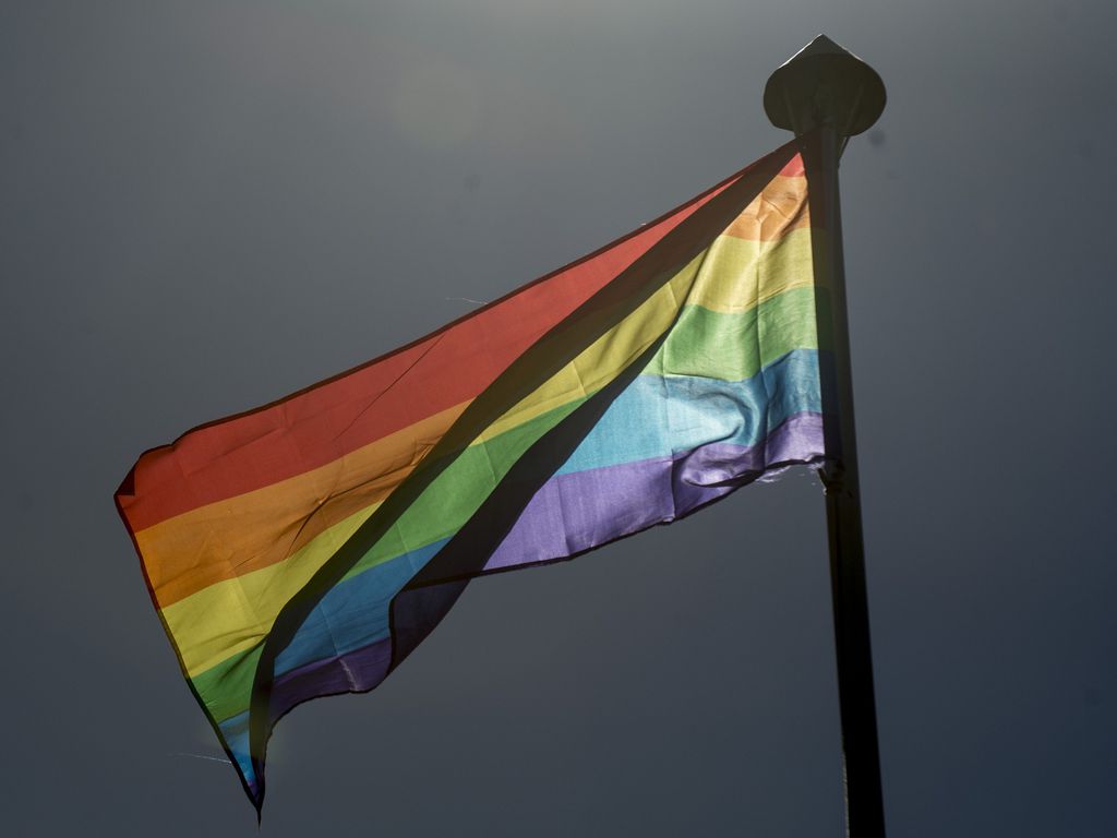 Conselho Nacional dos Direitos das Pessoas LGBTQIA+ é instituído pelo governo federal