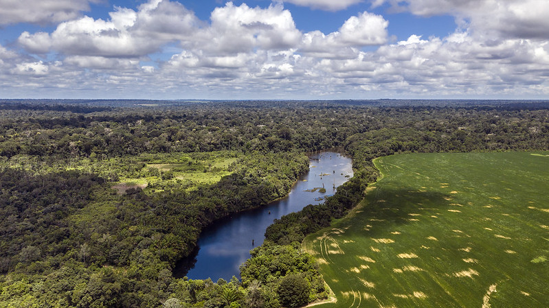 Amazônia Legal: desmatamento cai 61% em janeiro