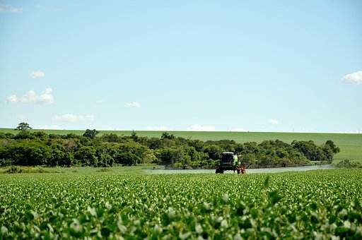 Bolsonaro liberou um recorde de 2.182 agrotóxicos em 4 anos