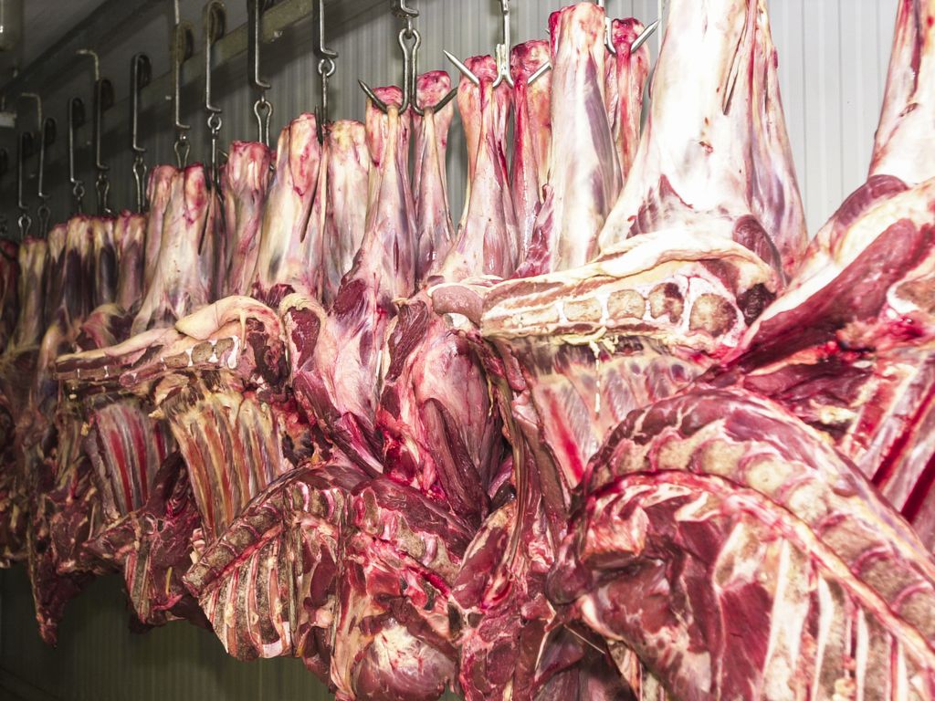 Caso de vaca louca faz Brasil suspender exportação de carne bovina para a China