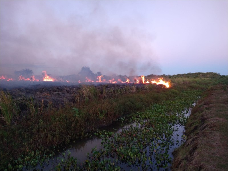 Incêndio atinge vegetação no Banhado do Bororé, em São Borja