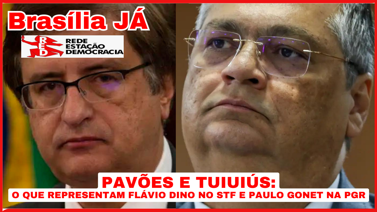 BRASÍLIA JÁ: Pavões e tuiuiús: o que representam Flávio Dino no STF e Paulo Gonet na PGR