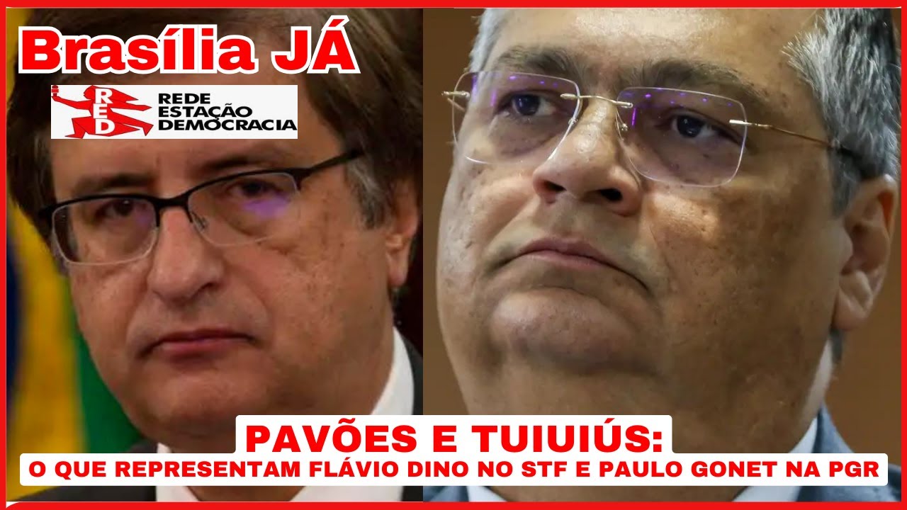 Pavões e tuiuiús: o que representam Flávio Dino no STF e Paulo Gonet na PGR