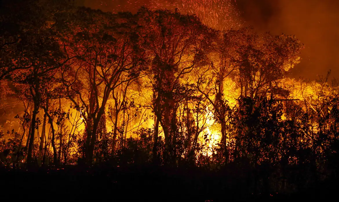 Pantanal bate recorde histórico com mais de 3 mil incêndios em novembro