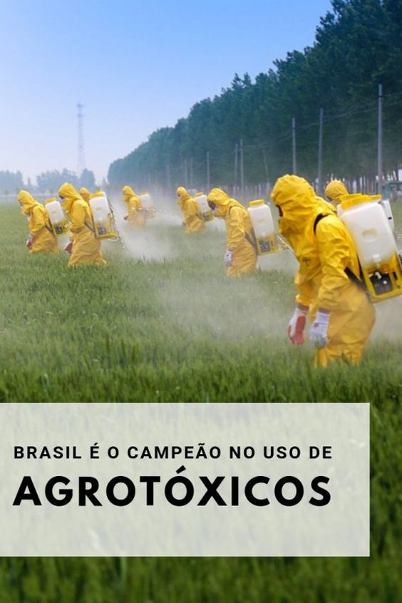 Europa continua exportando agrotóxicos proibidos
