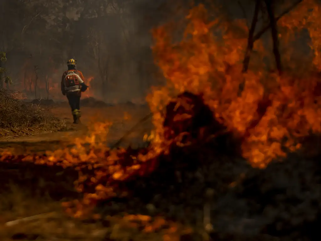 Queimadas! As condições ambientais ajudam, mas quem acende o fósforo ou o maçarico é o agronegócio pecuário