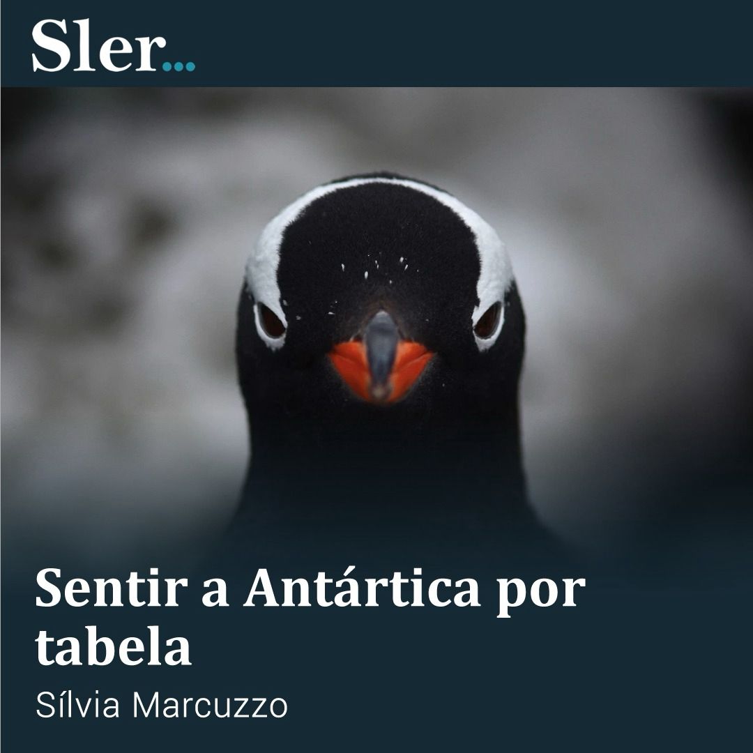 Sentir a Antártica por tabela