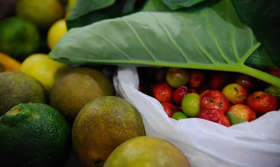 Qual a Lógica de Subsidiar os Agrotóxicos?