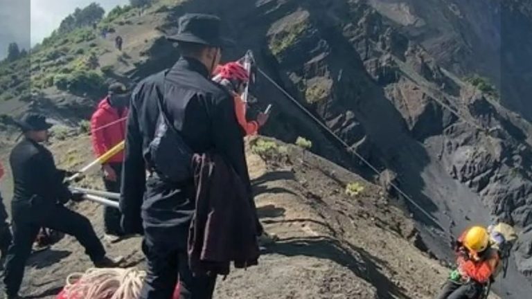 morte na sociedade capitalista