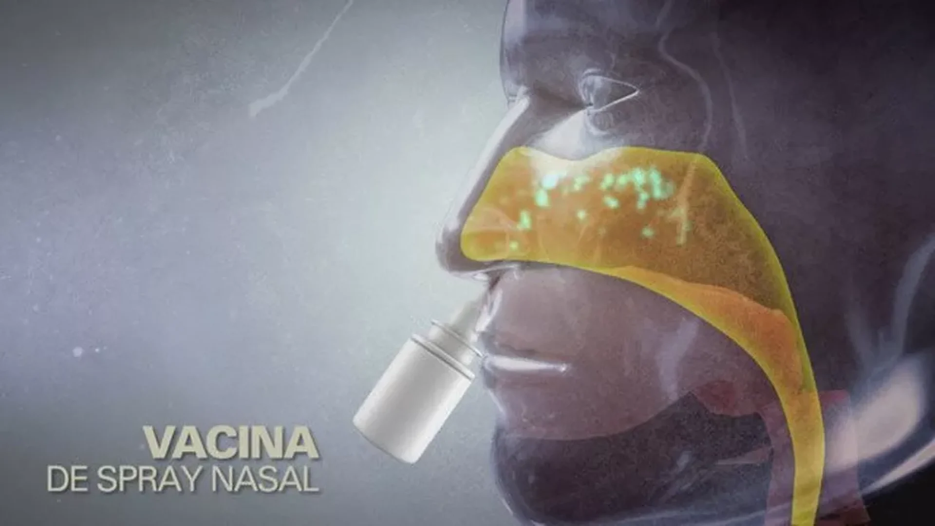 Vacina de spray nasal — Foto: Fantástico