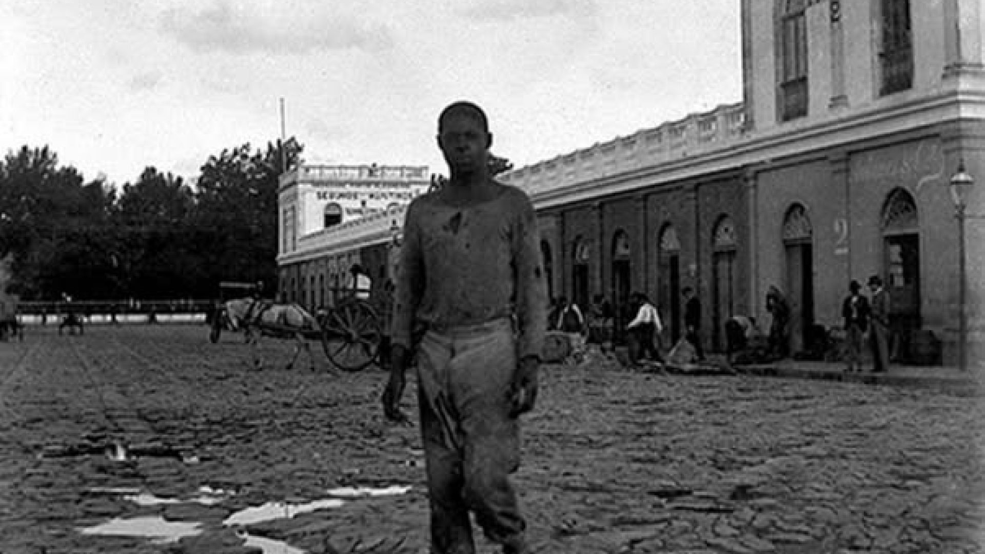 137033162_3613402518736367_8297167631661891783_n