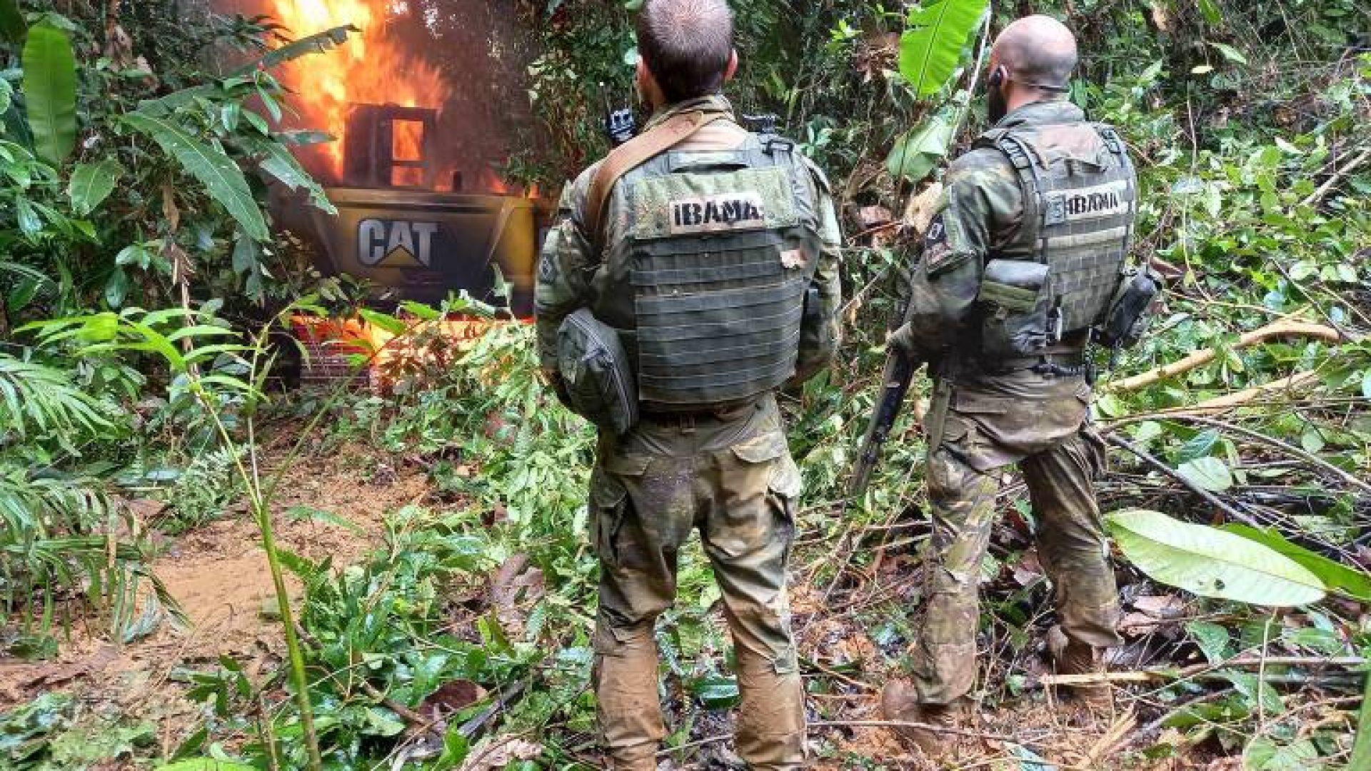 Foto: Ibama/Divulgação