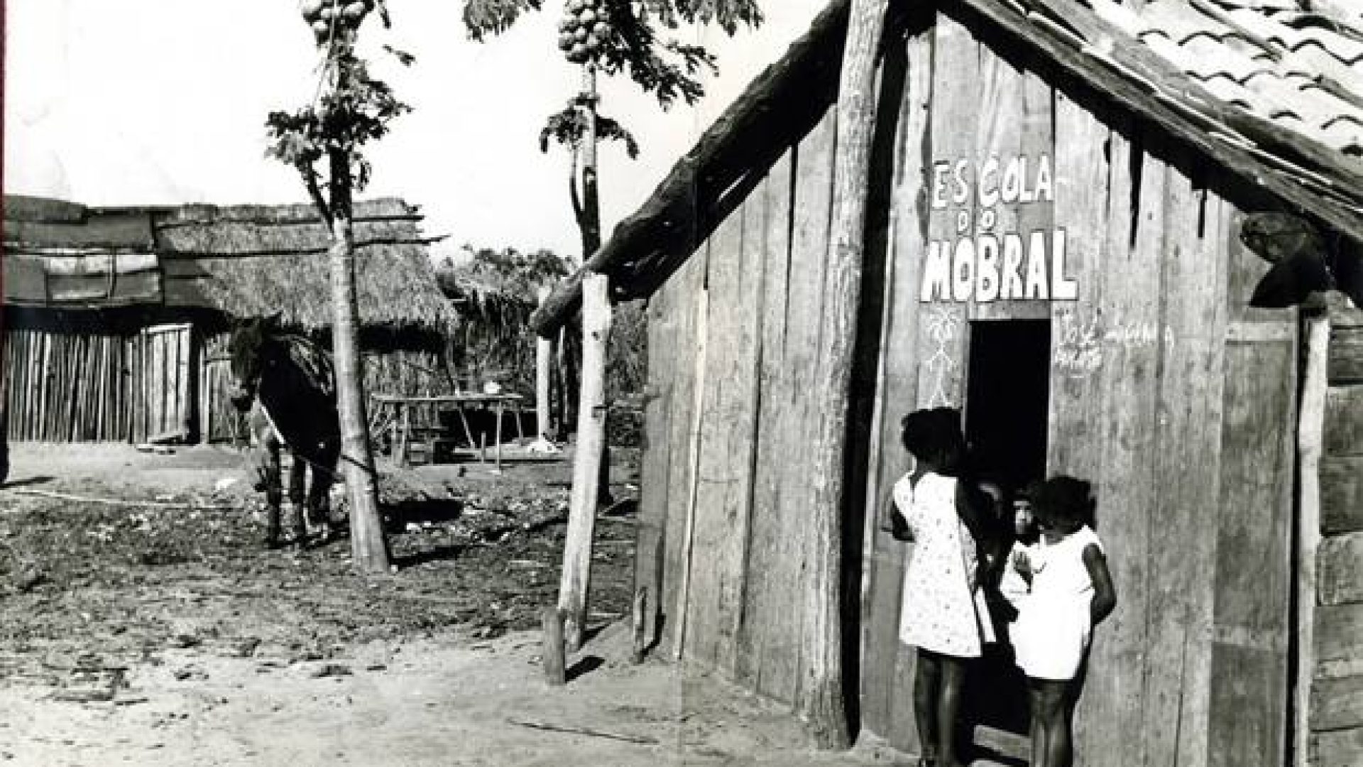 2009-291131794-2009081213385.jpg_20090812