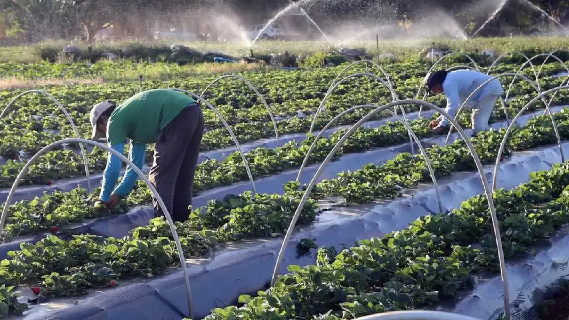 20251222071224_007d328c-6bb6-4a19-921e-edb159e63665