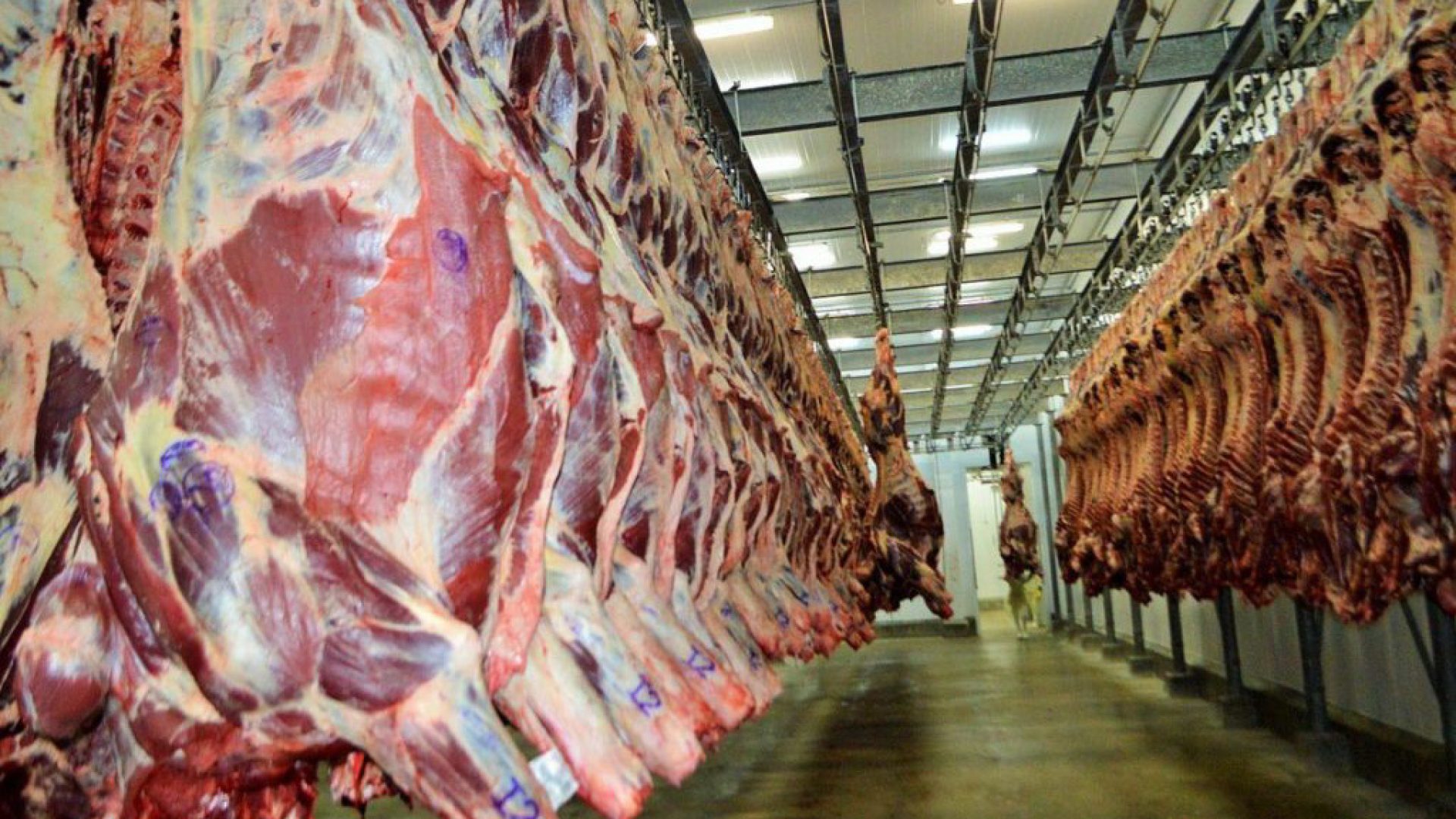 Carne bovina para exportação