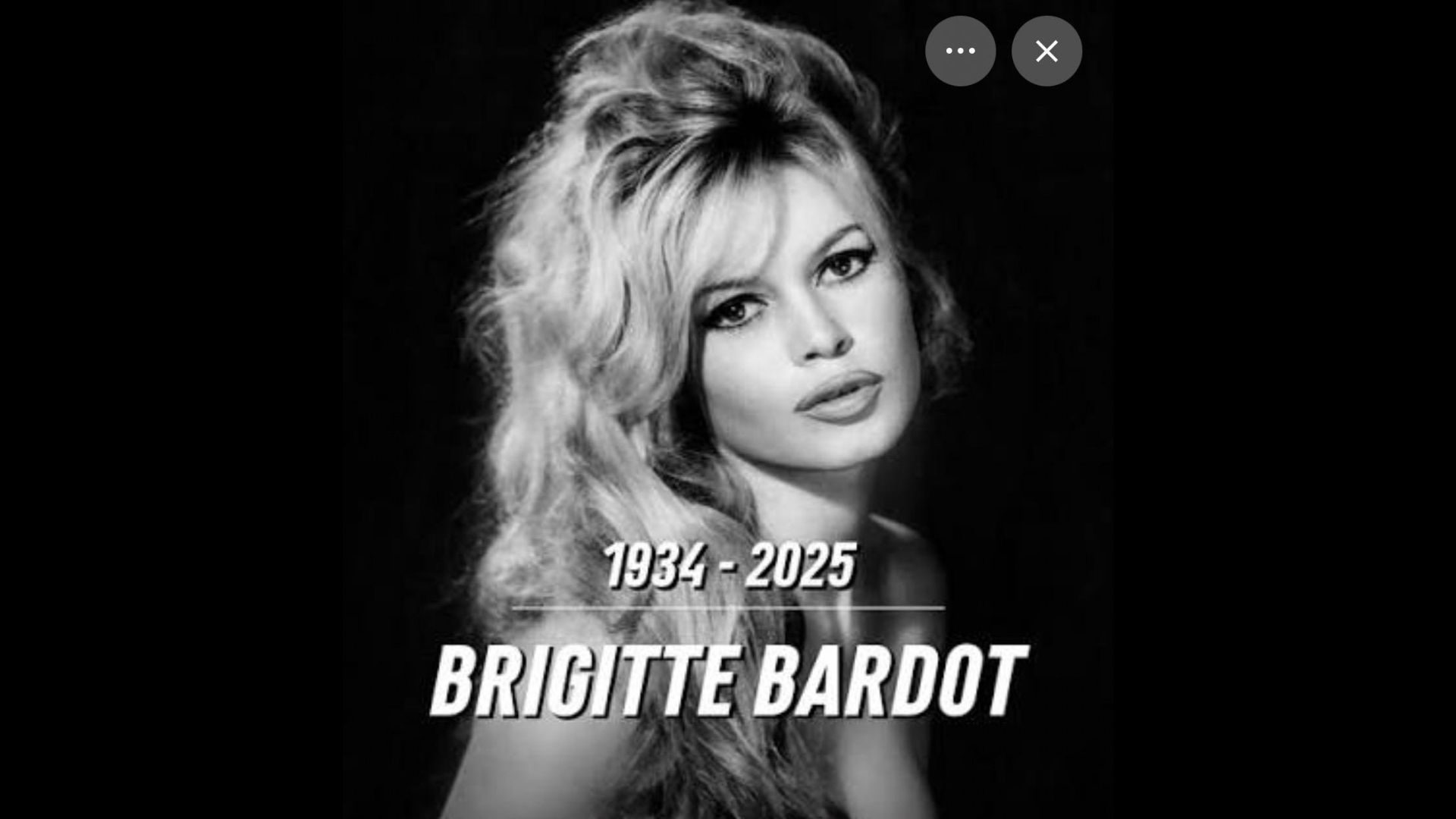 Design sem nome (15)