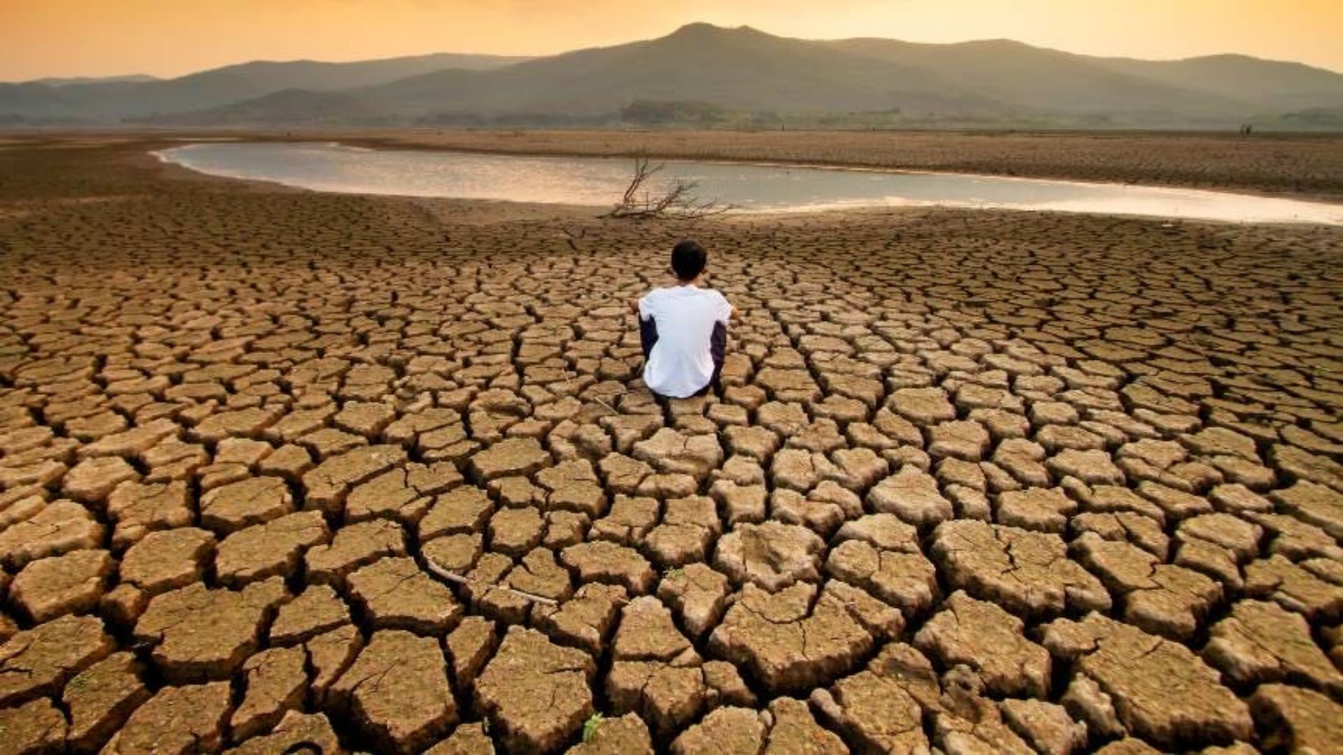 Design sem nome (17)