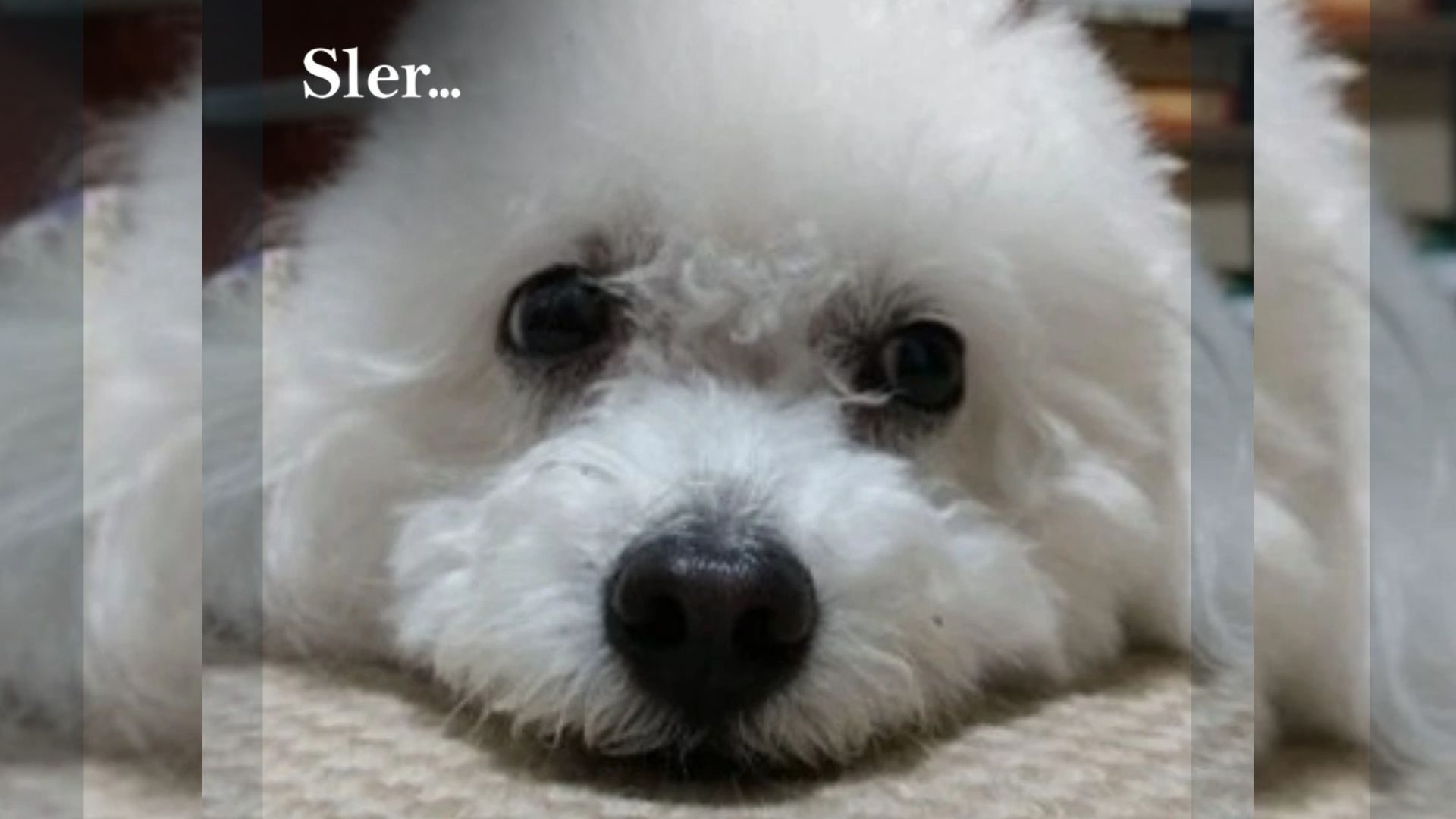 Design sem nome (27)