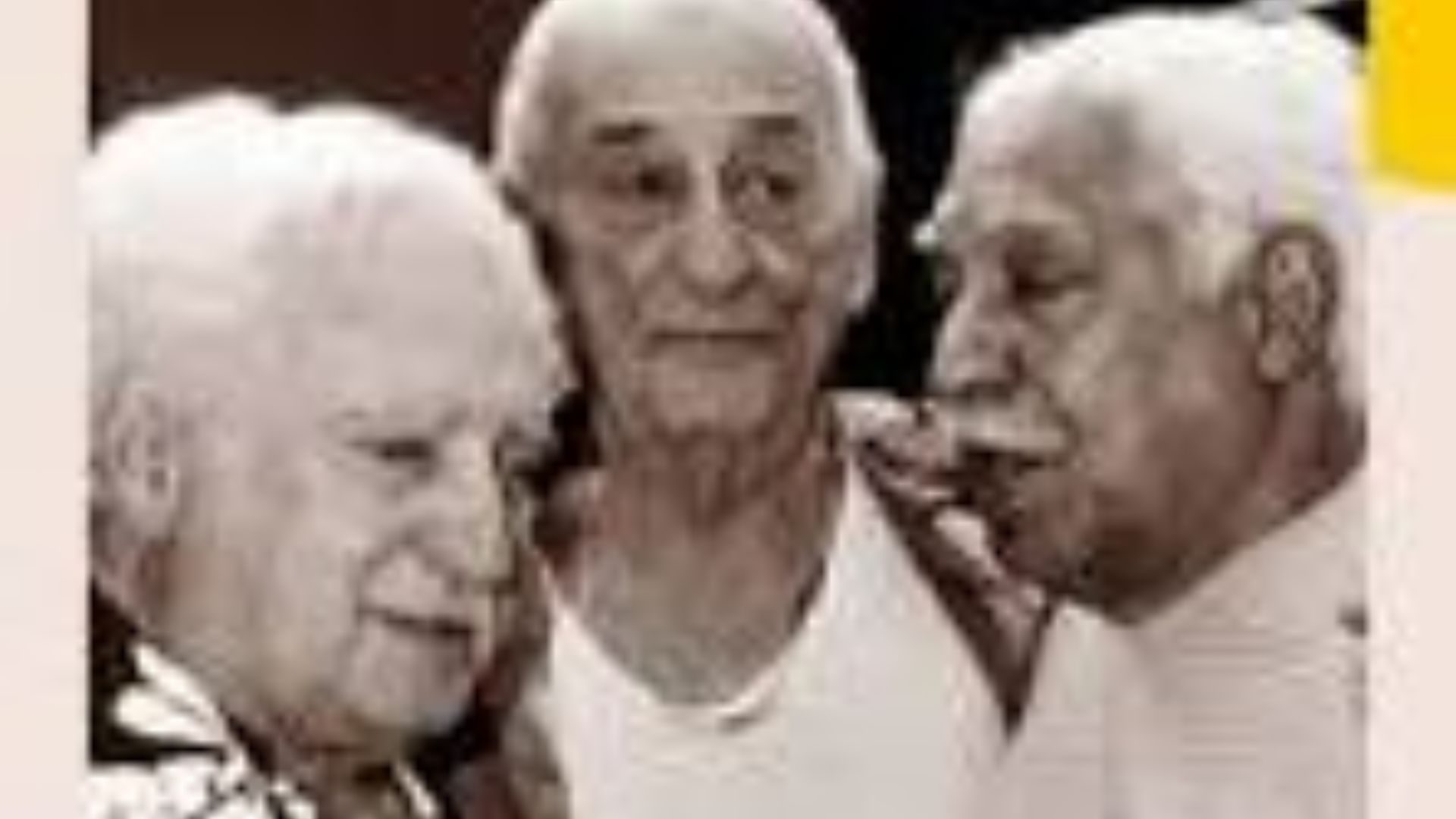 Design sem nome (38)