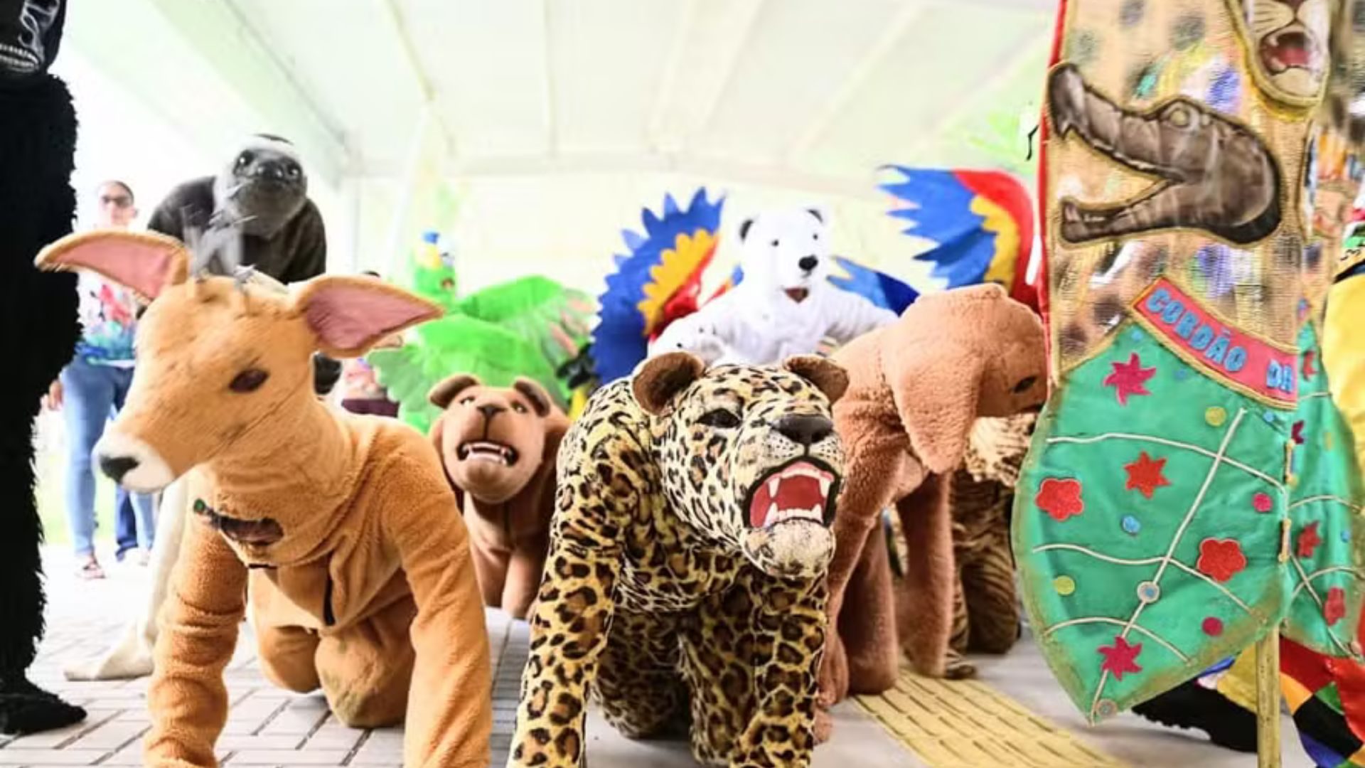 Design sem nome (66)