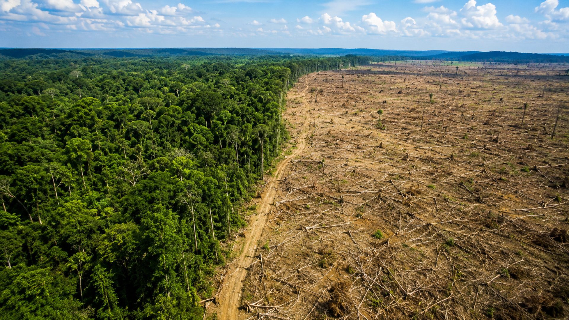 Desmatamento na Amazônia