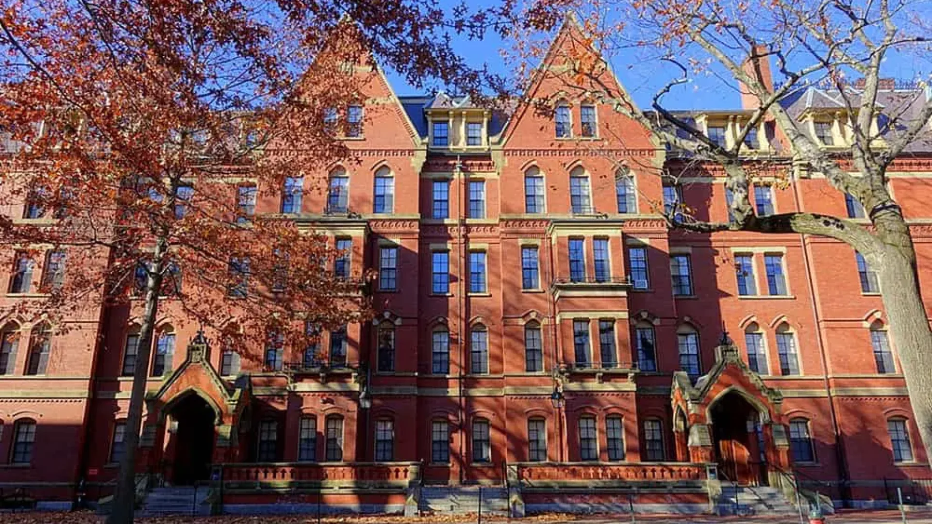 Harvard.jpg