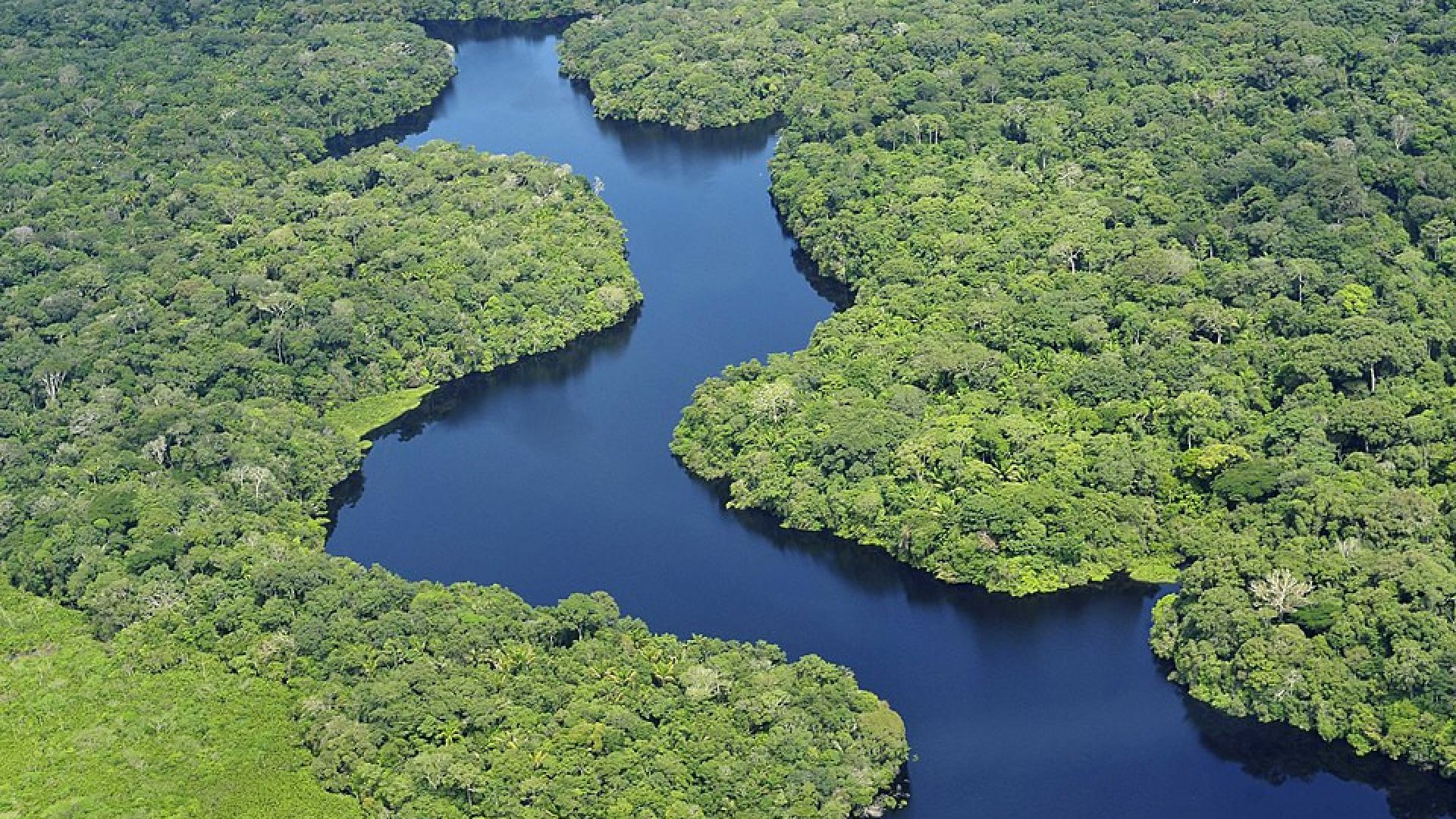 Rio Amazonas - Neil Palmer/ CIAT, CC BY-SA 2.0 , via Wikimedia Commons
