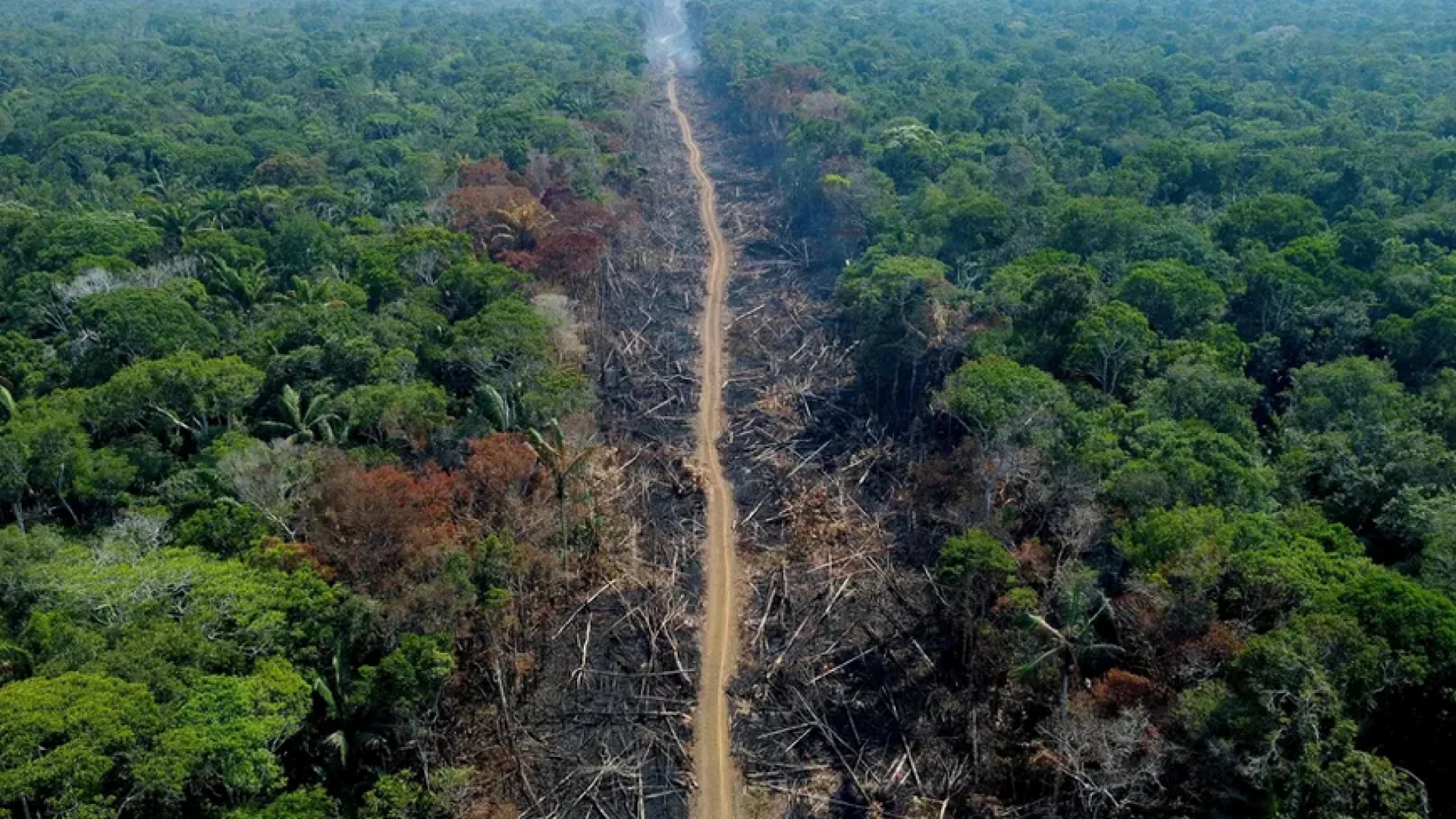 Screenshot-2024-05-22-at-17-54-17-102174492-files-this-file-photo-taken-on-september-16-2022-shows-an-aerial-view-of-a-deforested-and
