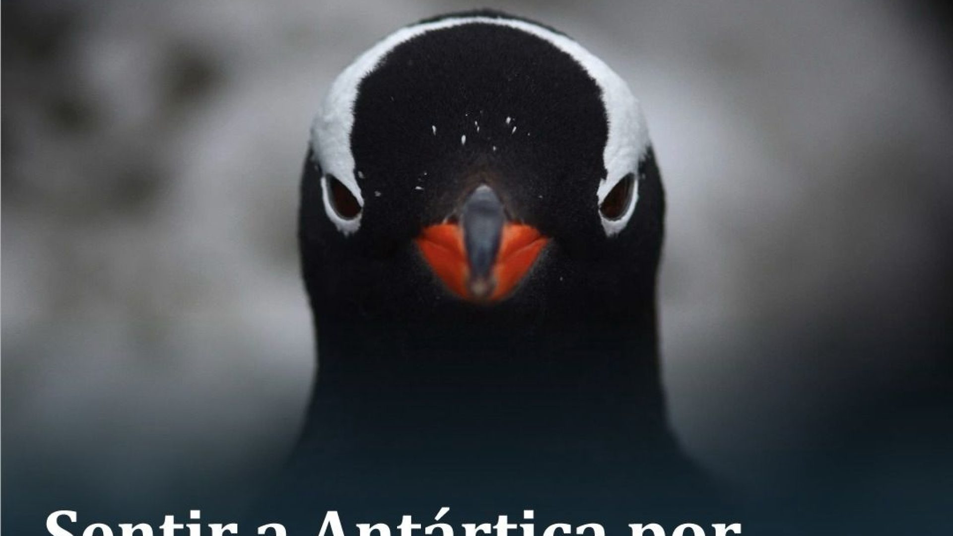 WhatsApp Image 2024-10-18 at 09.41.58