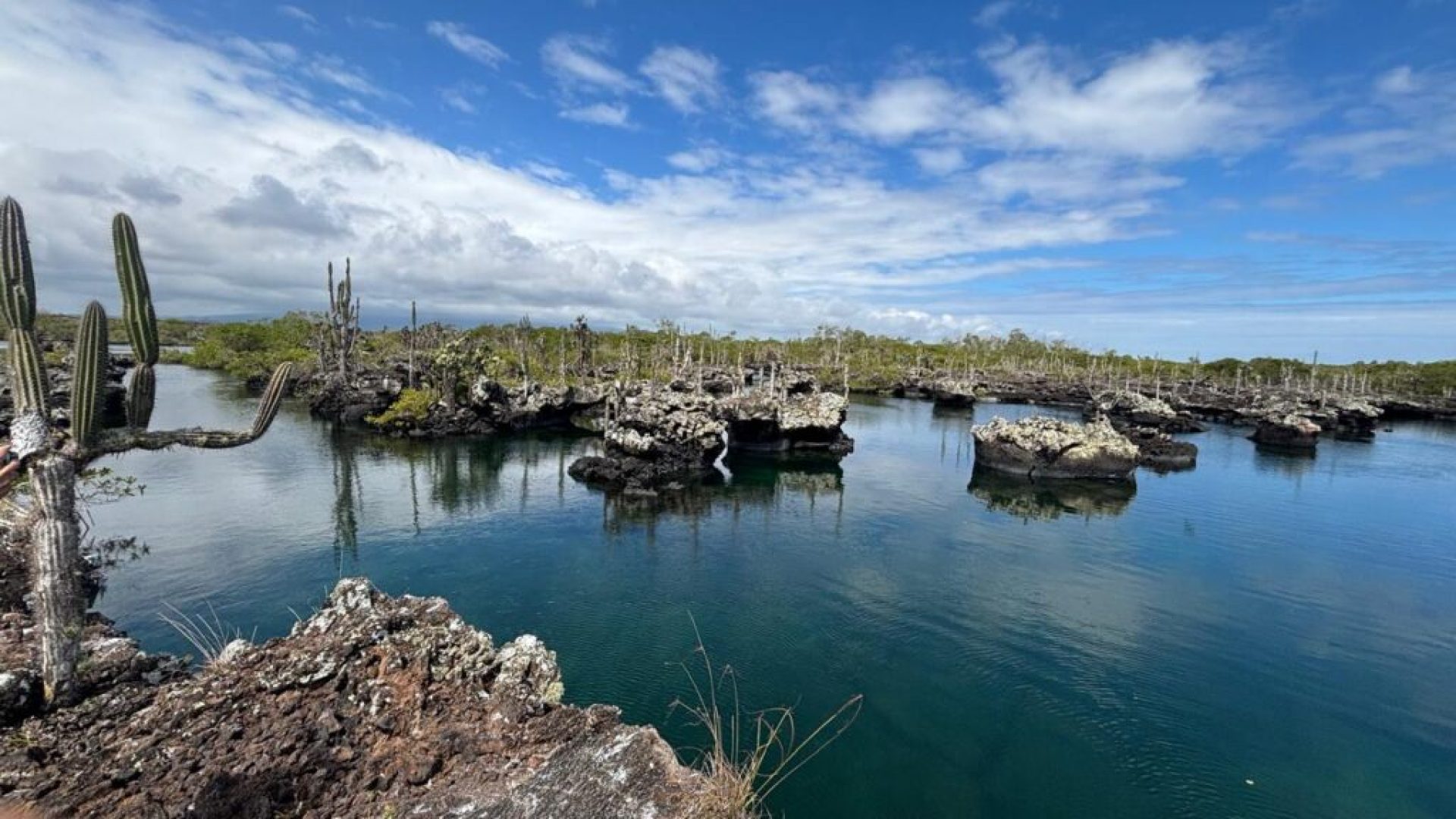 WhatsApp-Image-2026-01-29-at-01.19.36-1024x768