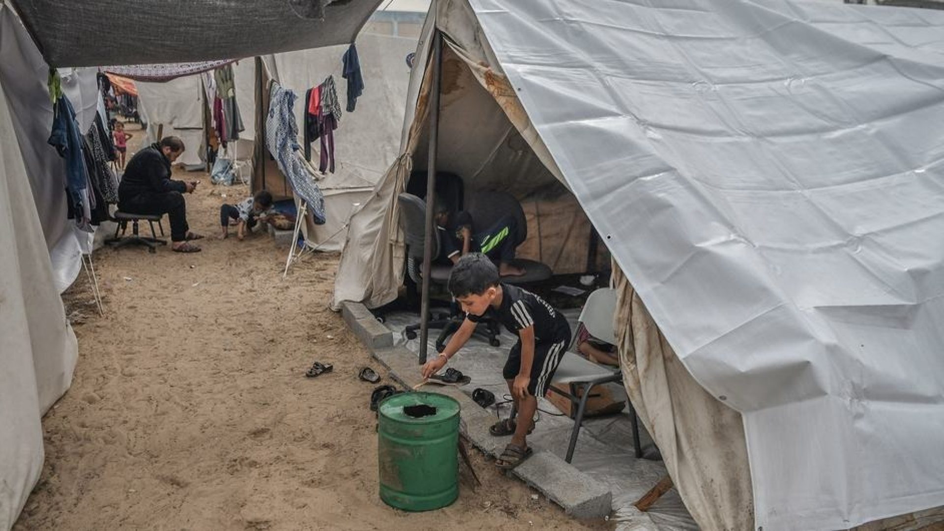 WhatsApp Image 2026-02-18 at 13.54.53