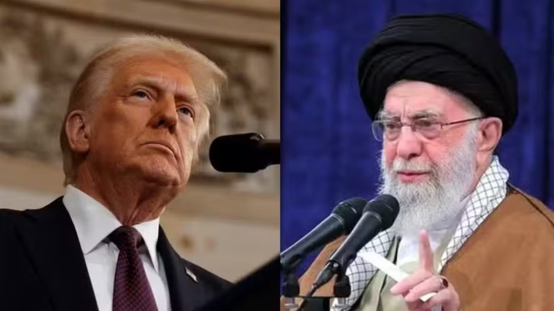 WhatsApp Image 2026-03-11 at 14.14.09