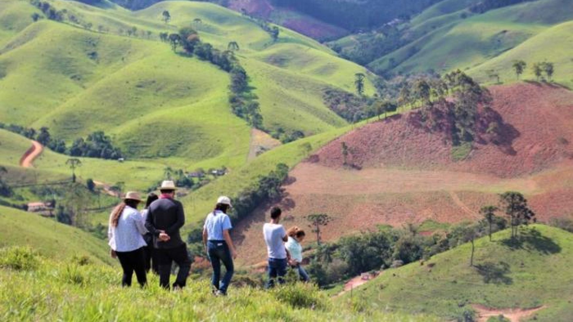 a0ff4cefd3bcfefc8077fa1e52d0a1c1