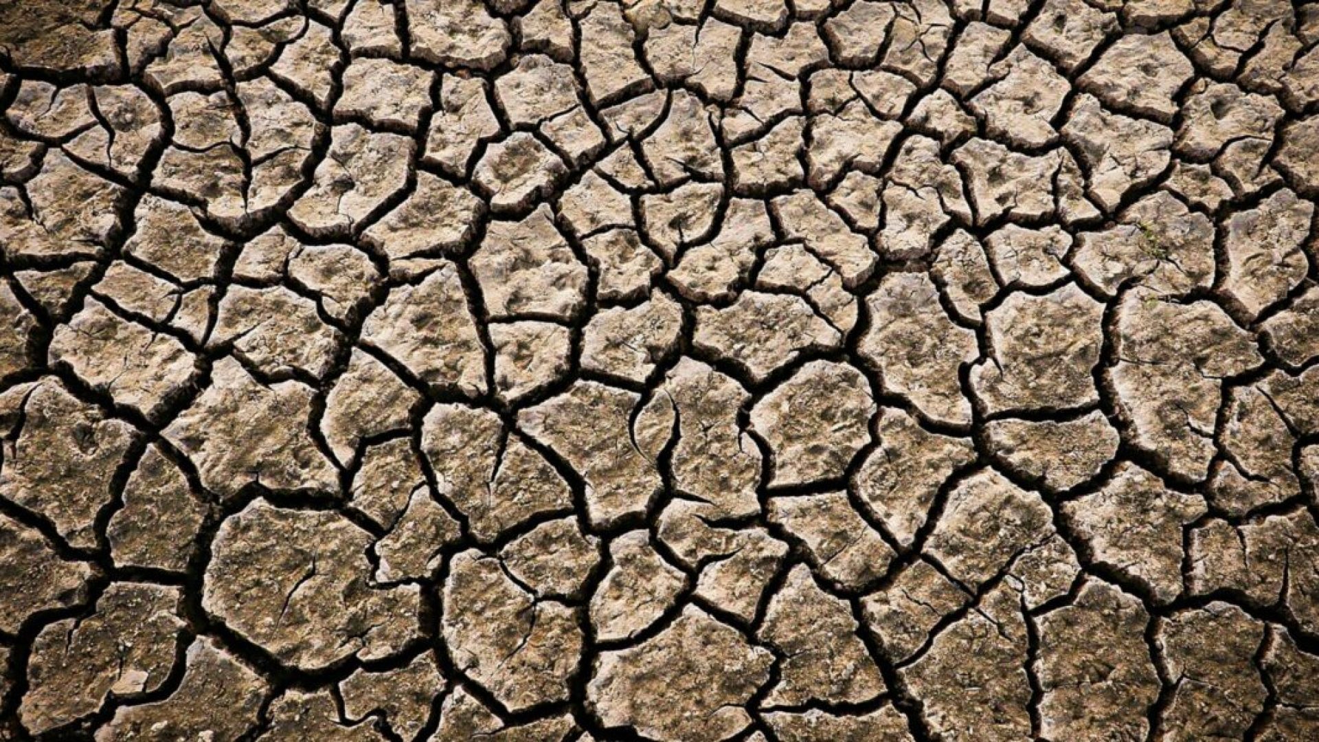 adrian-mag-9l9AIVptuZA-unsplash-1200x600