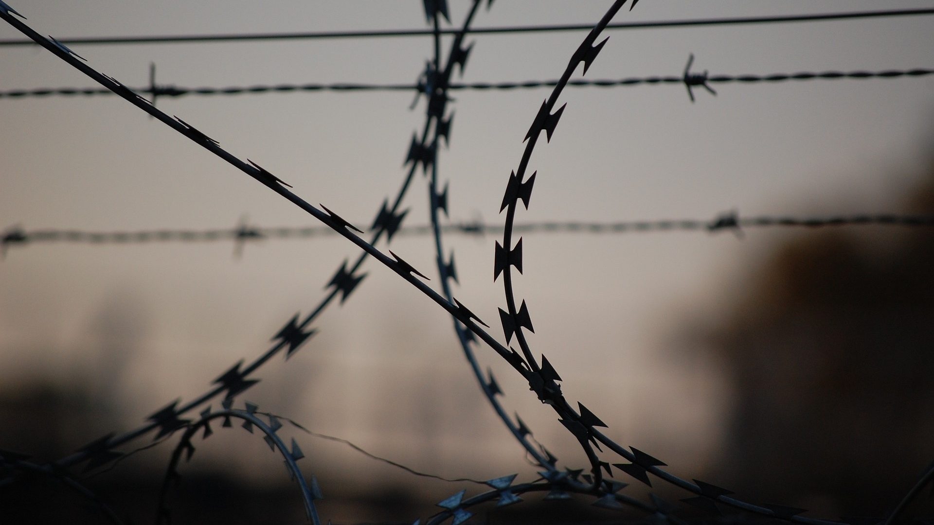 barbed-wire-765484_1920
