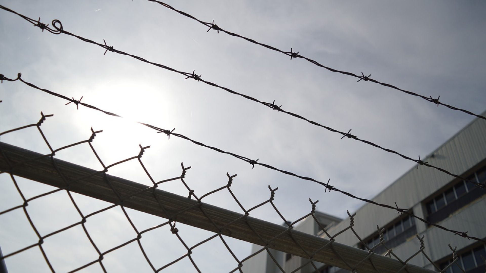 barbed-wire-960248_1280
