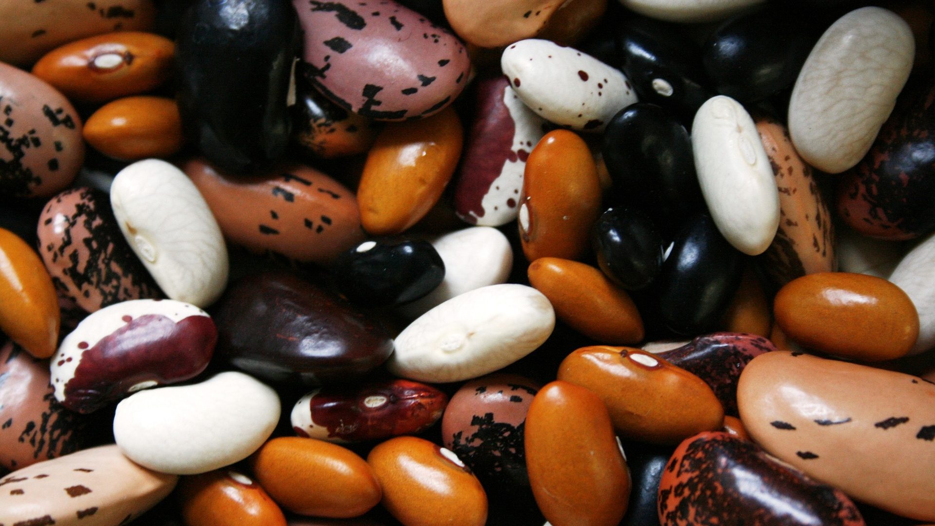 beans-1001032_1920