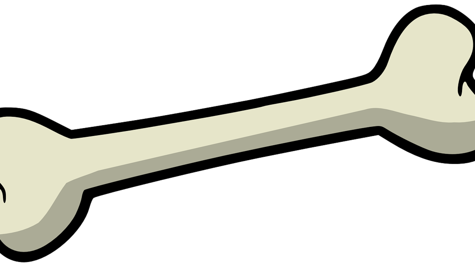 bone-157272_1280