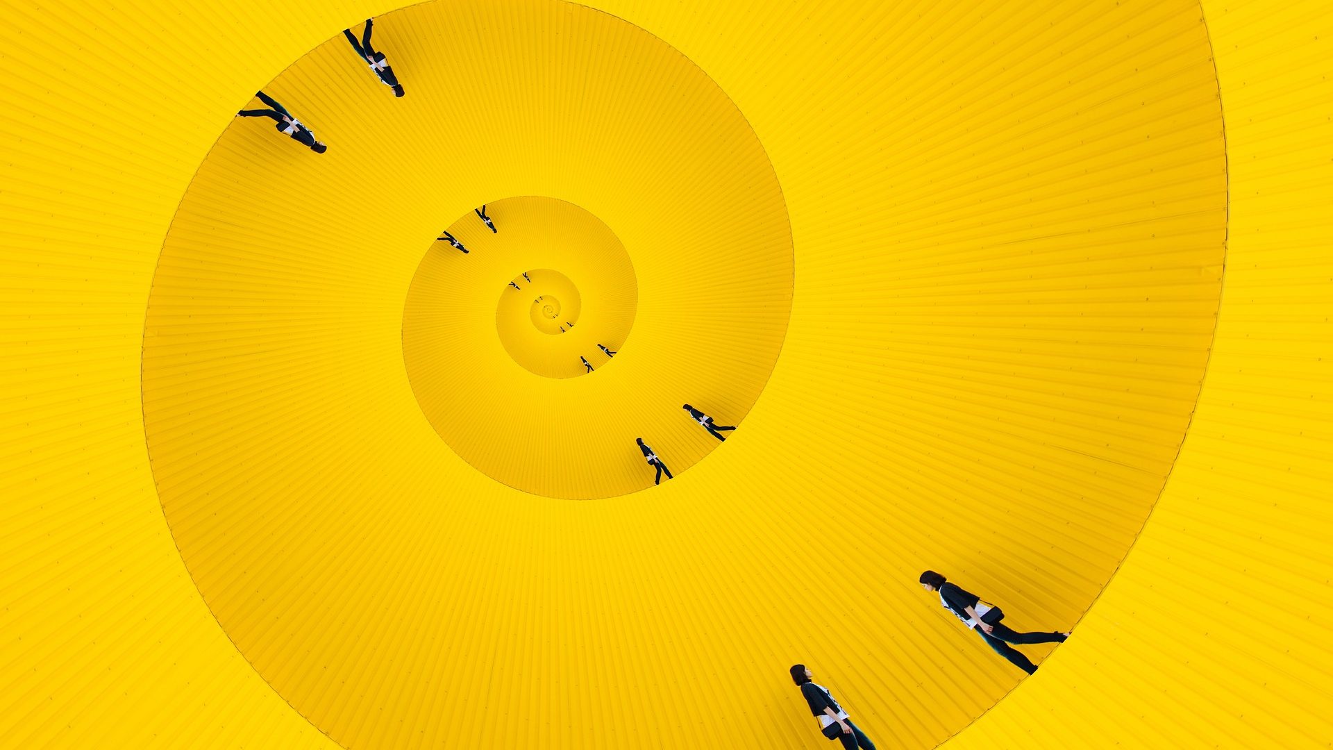circle-3762954_1920