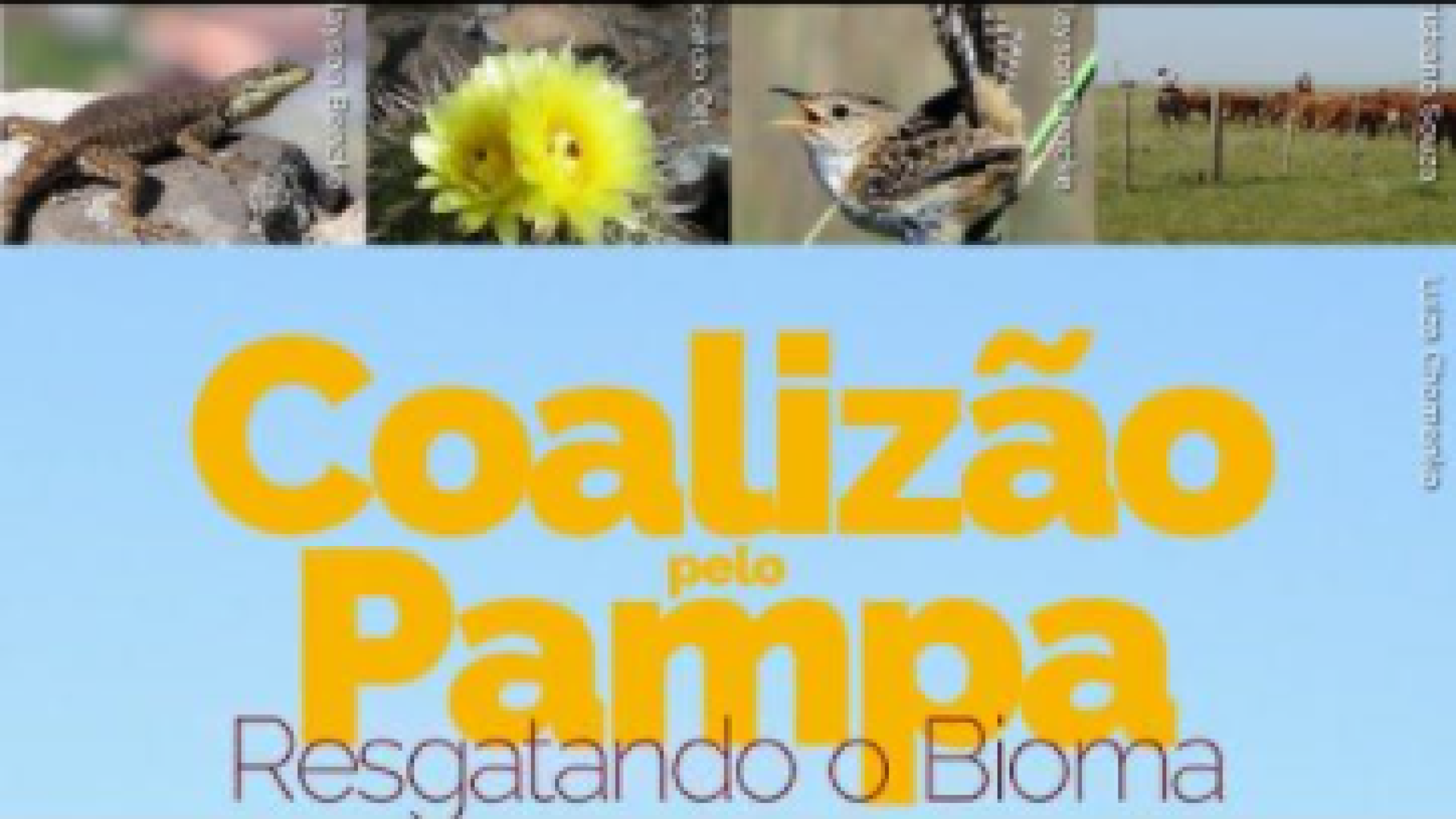 coalizao-pelo-pampa