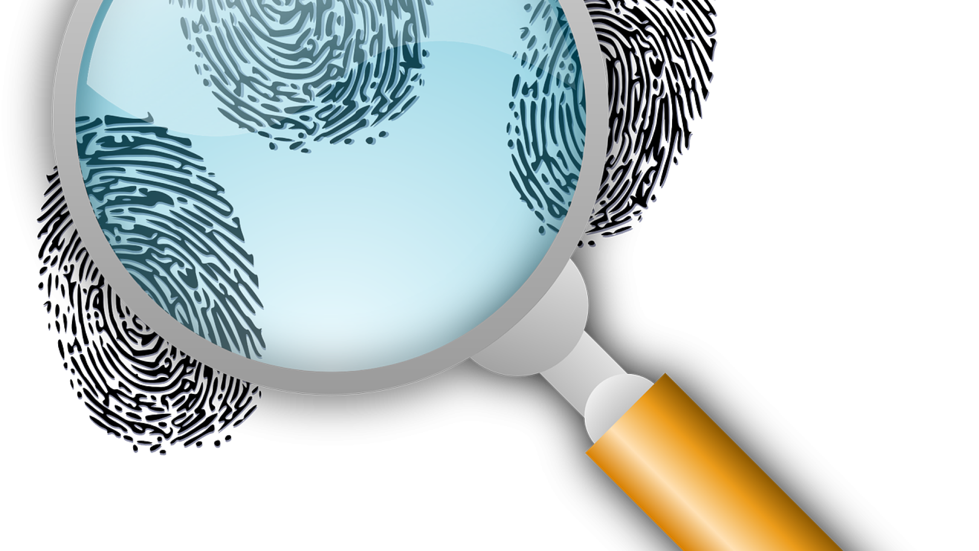 detective-152085_1280