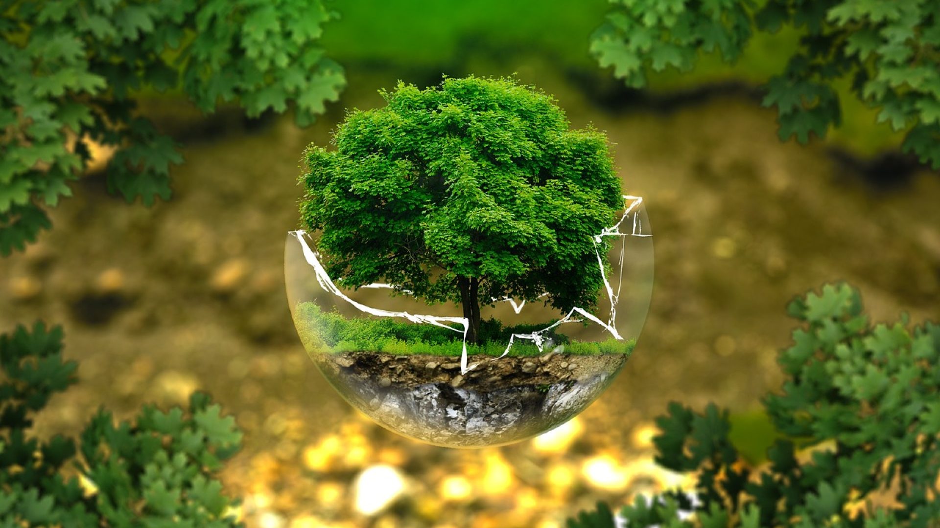 environmental-protection-326923_1280