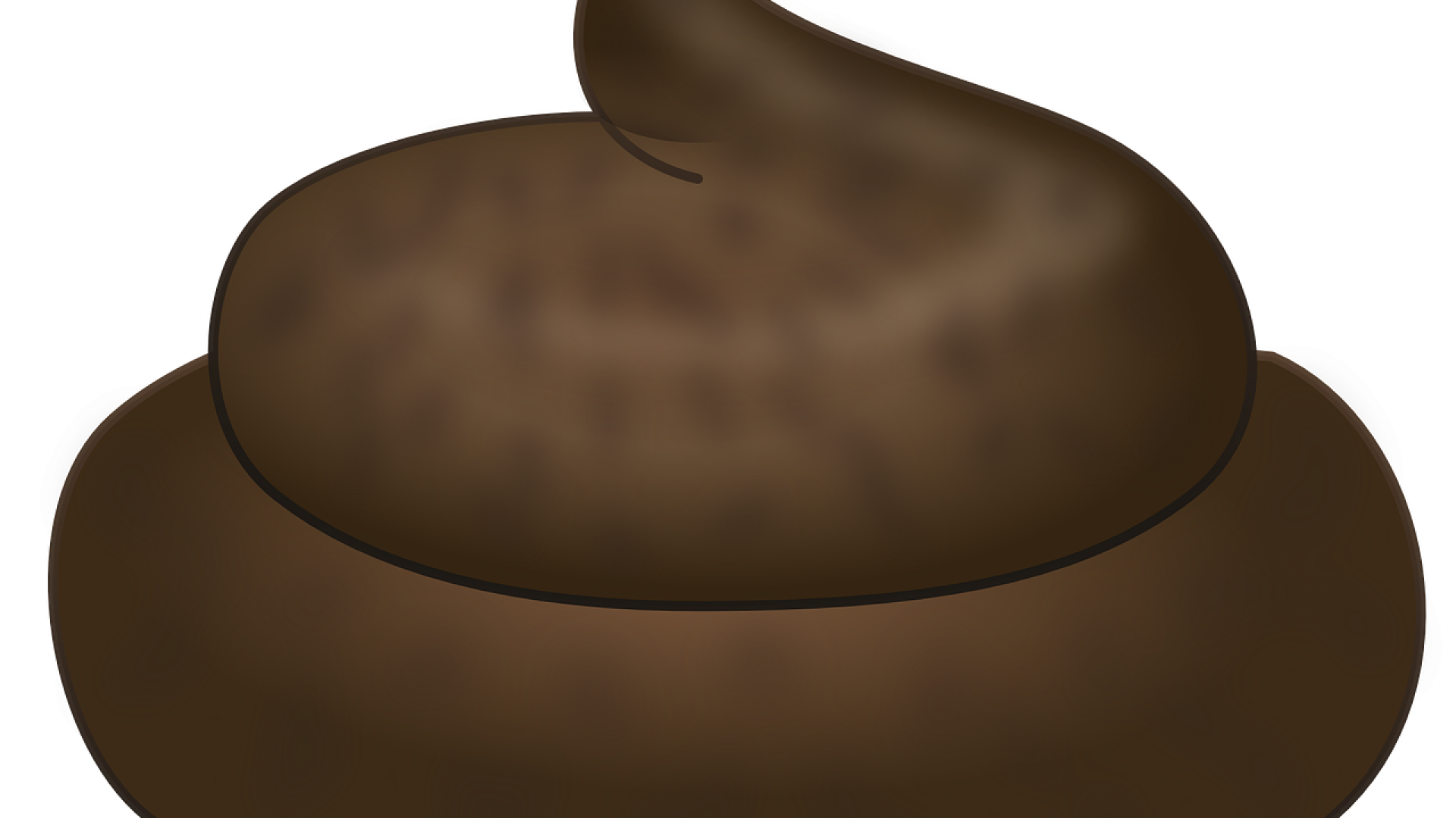 feces-309859_1280