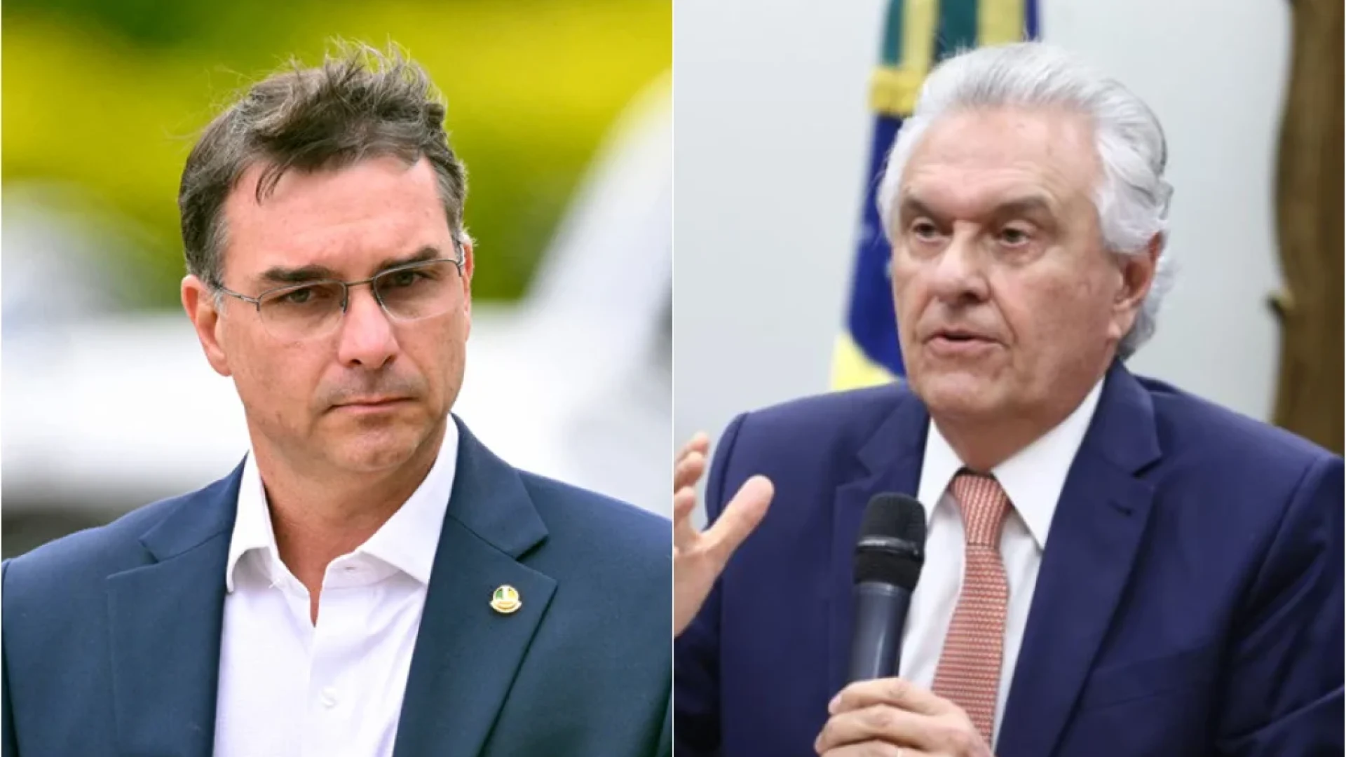 flavio-bolsonaro-e-ronaldo-caiado-fotos-evaristo-sa-afp-e-vinicius-loures-camara-dos-deputados