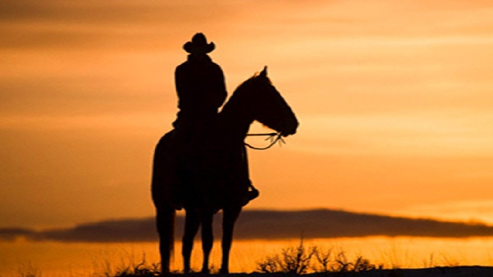 gaucho