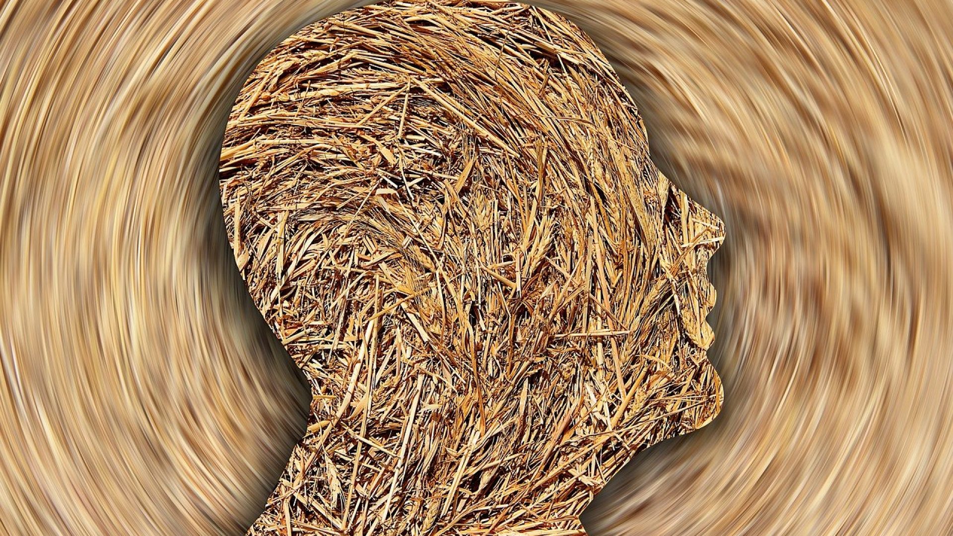 head-6962811_1280